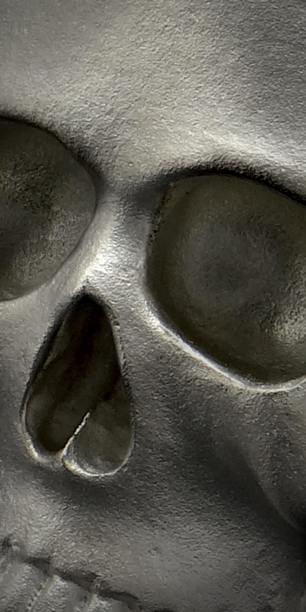 David Jonns skulls